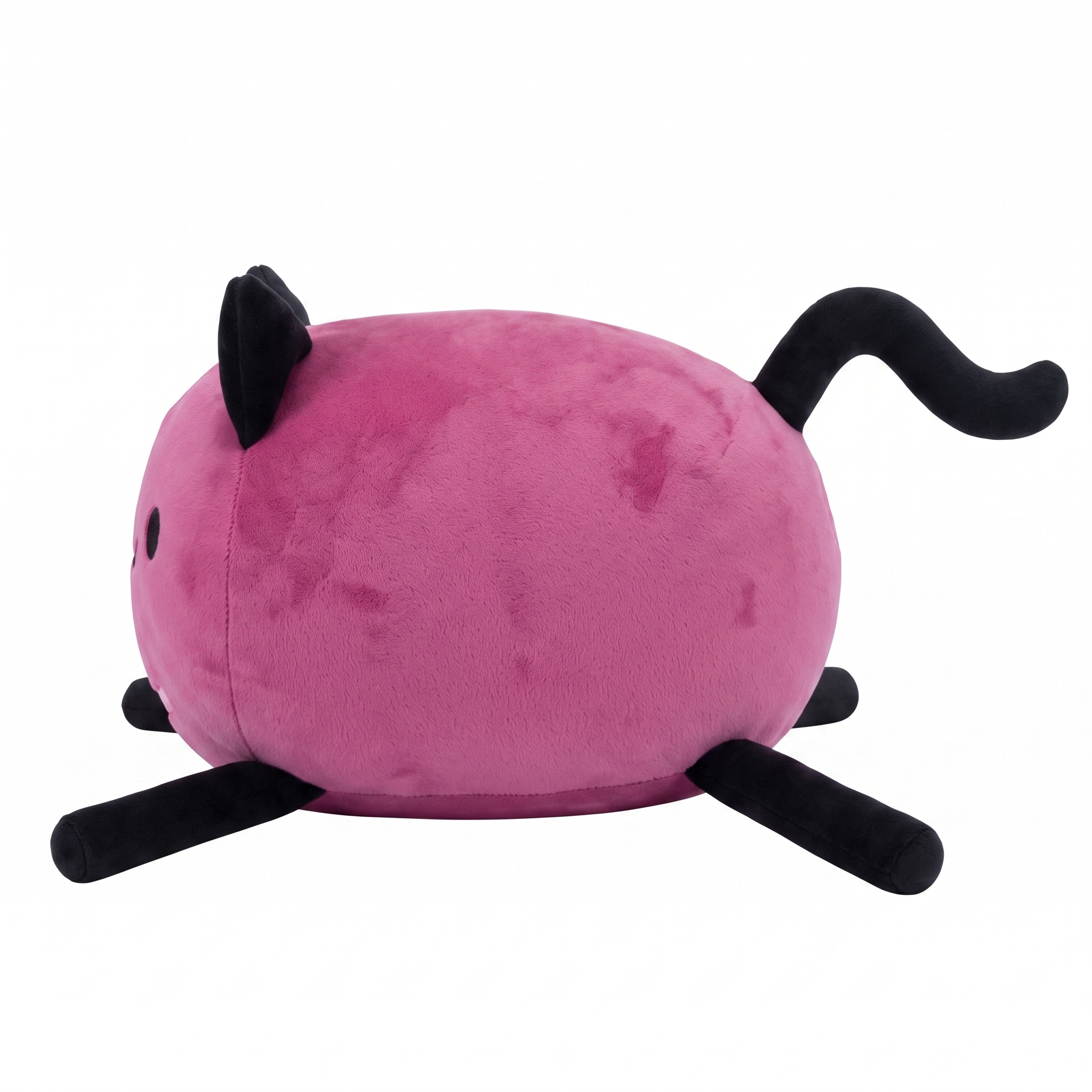Kitty Onion